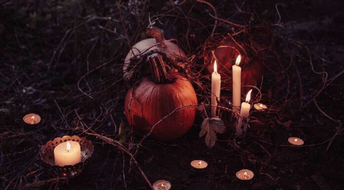 Bruxaria natural – Feitiços utilizando a energia da natureza 🧙♀️