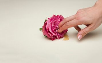 Desmistificando o orgasmo feminino 🌺 Orgasmo feminino