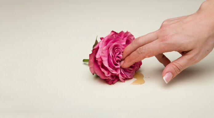 Desmistificando o orgasmo feminino 🌺 Orgasmo feminino