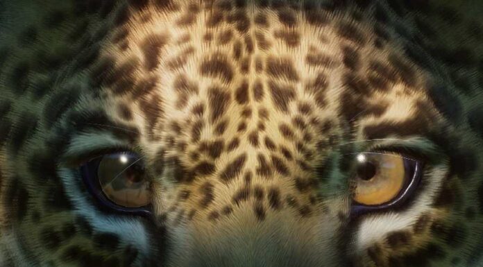 Conheça o significado de sonhar com onça 🐆 Sonhar com onça