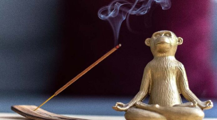 Aprenda a usar os melhores incensos para cada situação! Melhores incensos