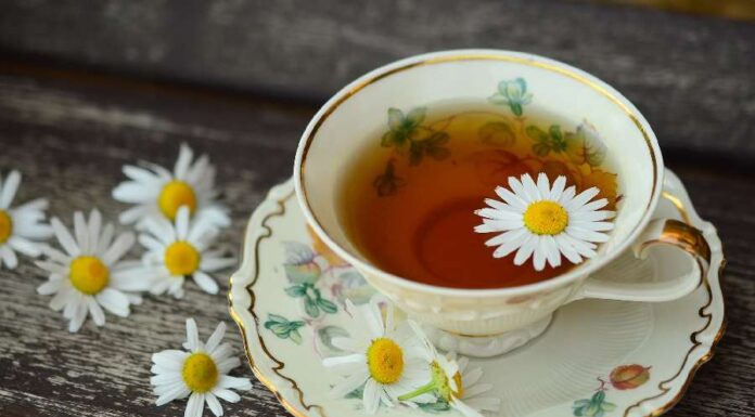 Chá de camomila: conheça seus benefícios e como usá-lo Chá de camomila