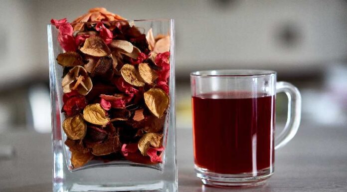 Conheça os diferentes usos para o chá de hibisco Chá de hibisco