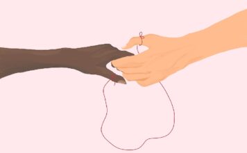 Conexão entre duas pessoas: como ela acontece em nossa vida Conexão entre duas pessoas