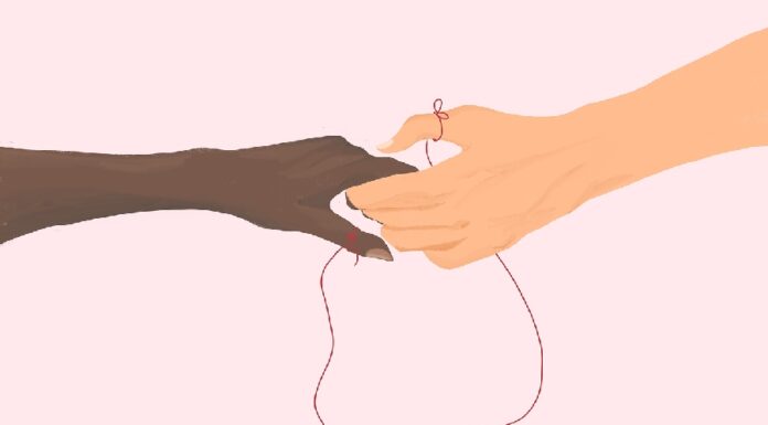 Conexão entre duas pessoas: como ela acontece em nossa vida Conexão entre duas pessoas