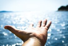 Dia Mundial dos Oceanos: o que você tem feito? Dia mundial dos oceanos