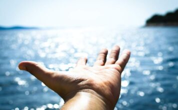 Dia Mundial dos Oceanos: o que você tem feito? Dia mundial dos oceanos