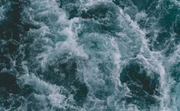 Poseidon: deus, guerreiro e criador 🔱 Poseidon | iQuilibrio