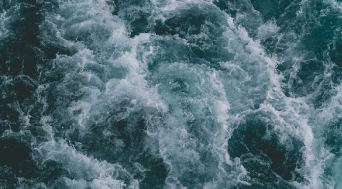 Poseidon: deus, guerreiro e criador 🔱 Poseidon | iQuilibrio