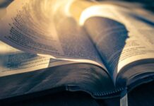 A Alma Generosa Prosperará: O que diz as Palavras Sagradas