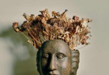 Ori, o seu orixá pessoal, pela consultora Íris 💟