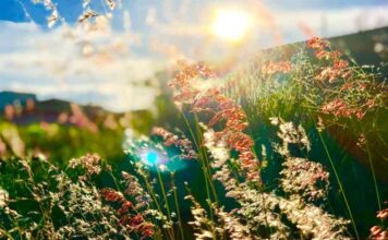 Equinócio de Primavera: Abertura de um Novo Ciclo de Bem-Estar