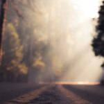 Abertura de Caminhos : Superando os obstáculos da vida Abertura de caminhos