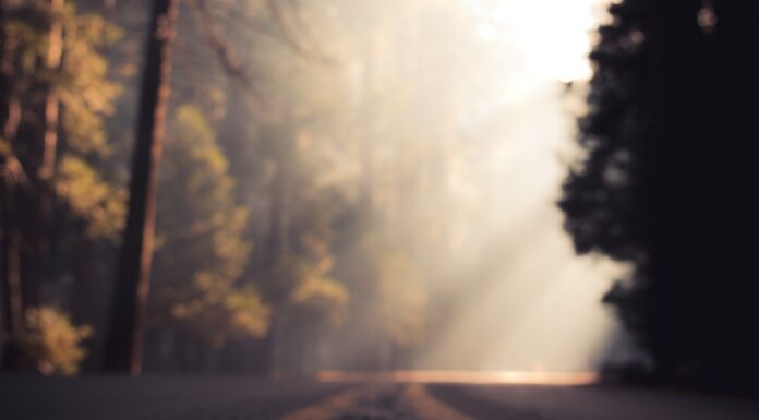 Abertura de Caminhos : Superando os obstáculos da vida Abertura de caminhos