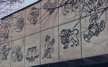 Banalidade dos signos e as inclinações do seu mapa astral, pela especialista Paula Astrologia afeta nosso equilíbrio