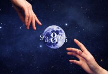 Caminho de Destino: entenda suas lições e o que veio aprender nessa encarnação Numerologia Ano