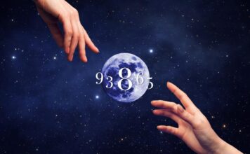 Caminho de Destino: entenda suas lições e o que veio aprender nessa encarnação Numerologia Ano
