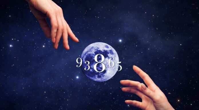 Caminho de Destino: entenda suas lições e o que veio aprender nessa encarnação Numerologia Ano