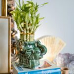 Feng Shui para 2024: prosperidade e harmonia no ano novo