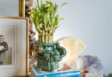 Feng Shui para 2024: prosperidade e harmonia no ano novo