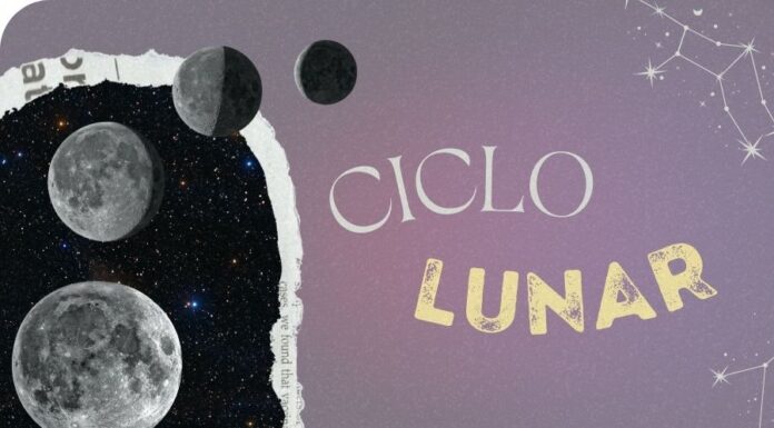 A Energia dos Ciclos Lunares de 15/11 a 21/11 Por Emylian Kali