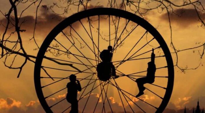 Desvendando a Roda da Vida e seus 10 Pilares: Autoconhecimento e Plenitude – pela consultora Deborah de Obá Roda da vida