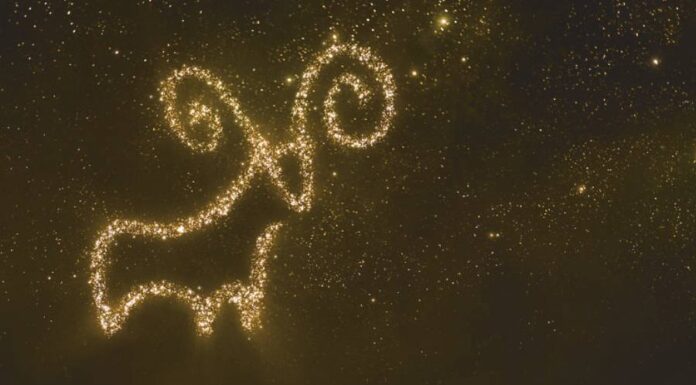 O sol em áries 2024 – Vem entender o ínicio do ano novo astrológico – Pela consultora Babalu Sol em áries