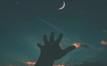 Lua Nova em Touro e novos valores, pela especialista Joice Lua Nova em Touro