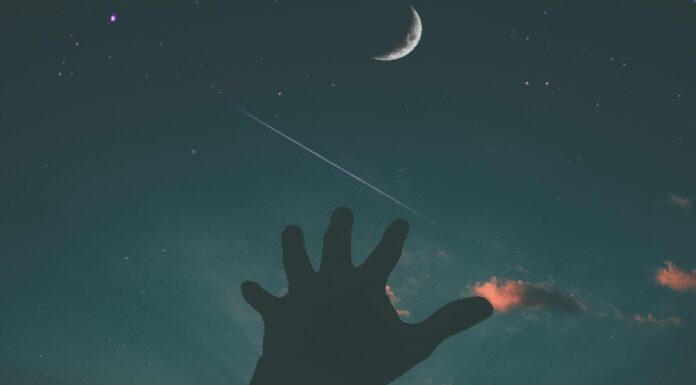 Lua Nova em Touro e novos valores, pela especialista Joice Lua Nova em Touro