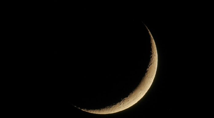 A chegada da Lua crescente no signo de leão, Pela astróloga Joyce