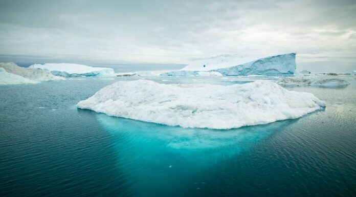 O seu signo é apenas a ponta do iceberg- por Tatiana Marinho Ponta do iceberg