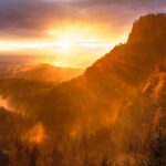 Dia de Proteção às Florestas: os signos e a Natureza Dia de proteção às florestas