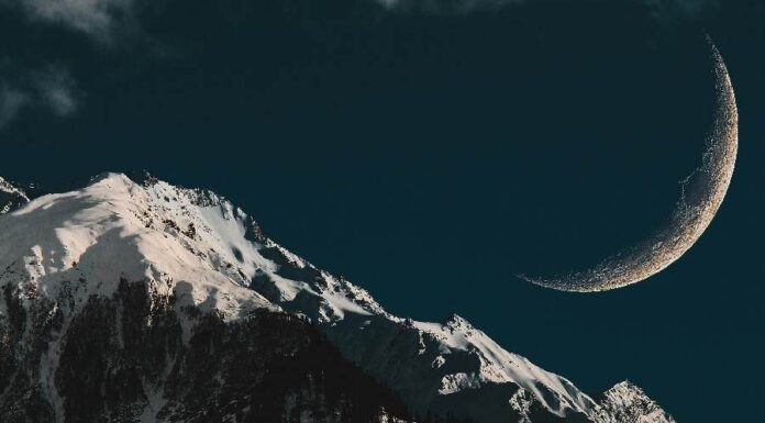 Lua Nova em Leão e Vênus em Virgem: Novos Inícios e Refinamento Pessoal Lua Nova