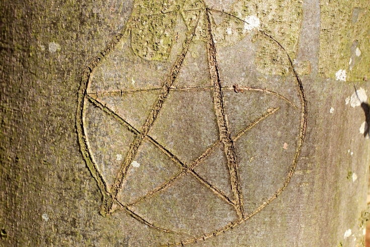 Pentagrama riscado no tronco de uma árvore.