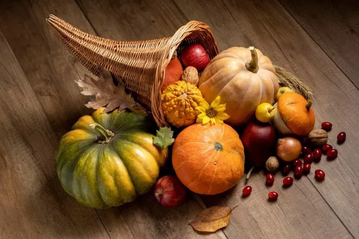 Cornucópia cheia de frutas e abóboras