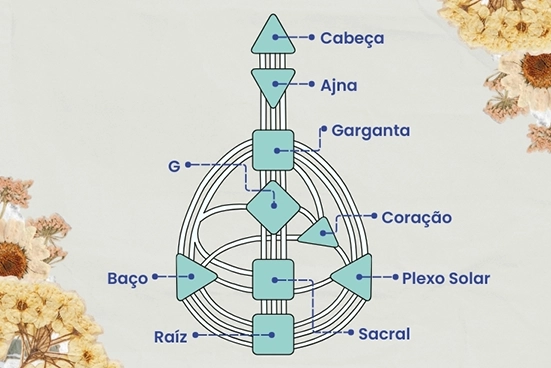 A imagem mostra e indica os principais pontos do mapa do human design