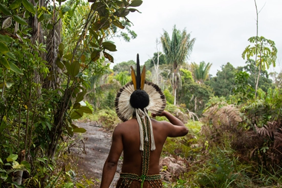 Indígena caminhando pela floresta, com lindo cocar