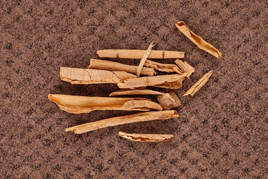 Um punhado de cascas sobre o tapete