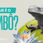 A medicina do kambô e o chamado da floresta para a purificação kambô