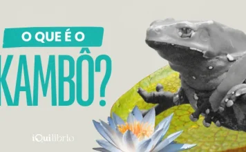 A medicina do kambô e o chamado da floresta para a purificação kambô