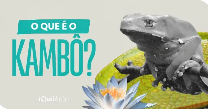 A medicina do kambô e o chamado da floresta para a purificação kambô