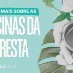 A sabedoria das medicinas da floresta e o poder de cura da natureza medicinas da floresta