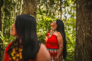 Duas mulheres olhando para as copas das árvores em uma floresta